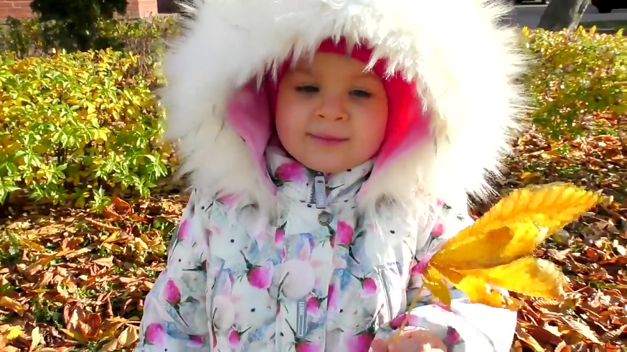 دیانا و اسباب بازی ها - پرنسس دیانا و حیوانات در پارک